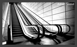 Moving from Tools to Platforms