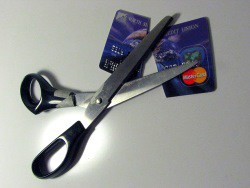 cut credit cards