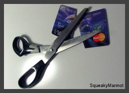 cut credit cards