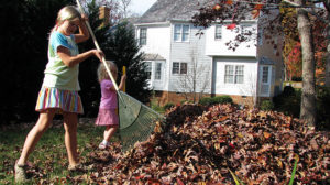 Girls raking fallen leaves in the backyard on a crisp and beautiful autumn day